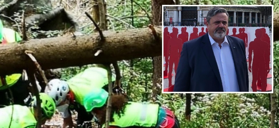 Boscaiolo travolto e ucciso da un albero in Alto Adige, l'Ugl: “Tragedia che poteva e doveva essere evitata